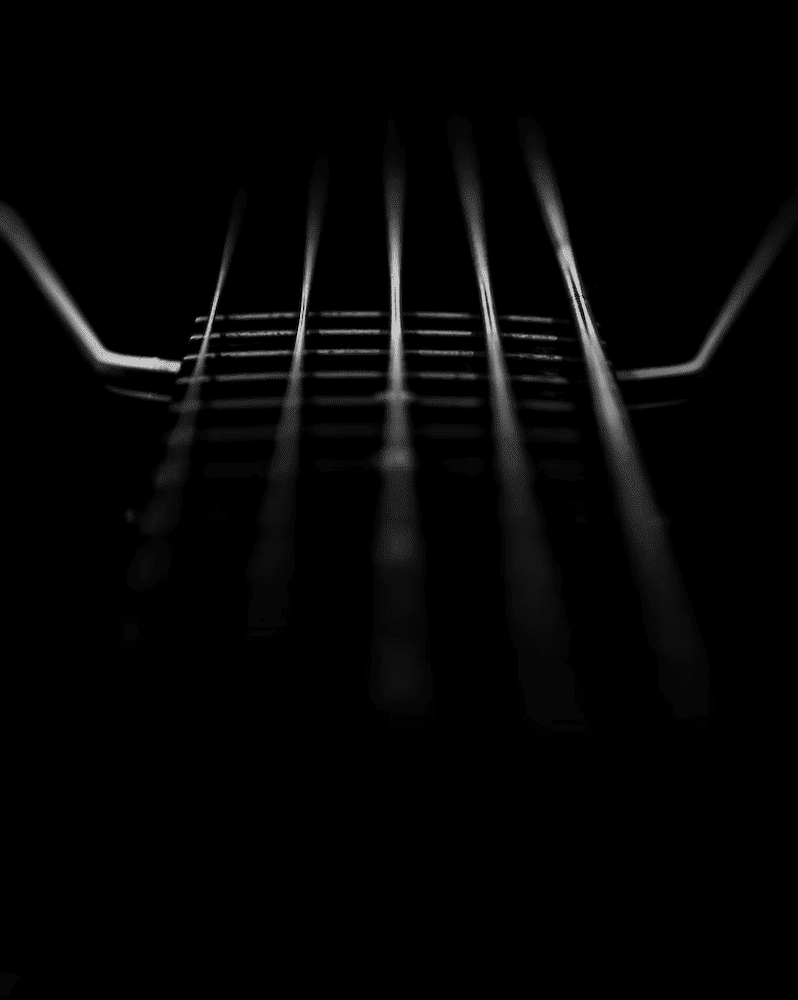 Musable Acoustic Guitar Strings